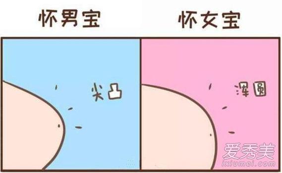 怀男女宝宝肚子形状图