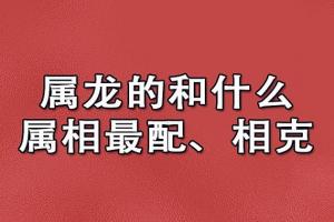 属龙的人和什么属相相克不合?算命大师王春云老师是怎么说的