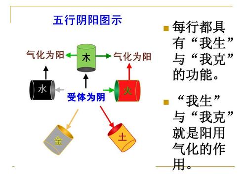 中医动态阴阳五行学说ppt