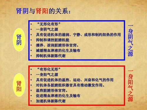 中医教你简单辨别肾阴虚和肾阳虚