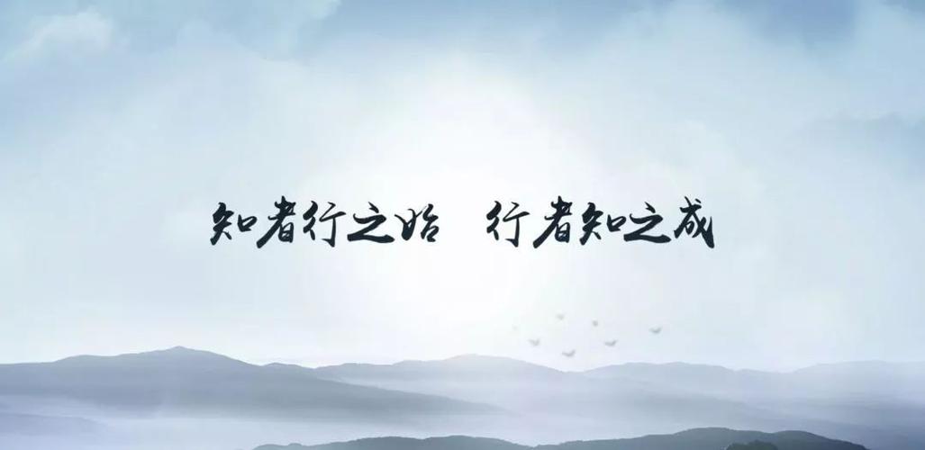 20字  浓缩了上合组织赖以生存发展的根基  也为打造本地区命运共同体