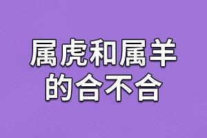 2025年老虎和什么属相最配，真的好准!每一次的运势都是准的!