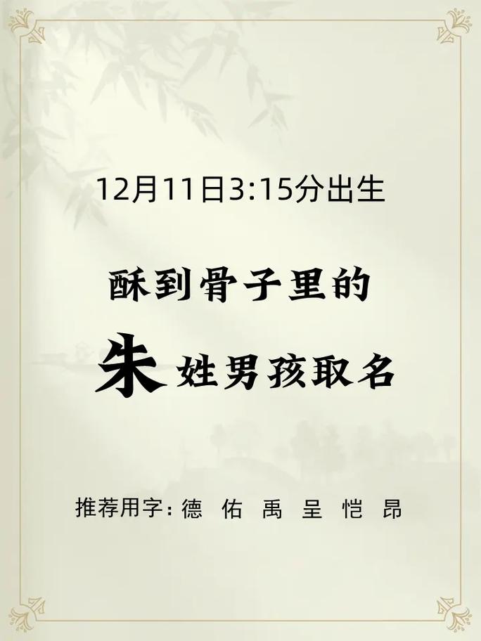 2023年12月11日3点15出生的朱姓男孩取名字案例