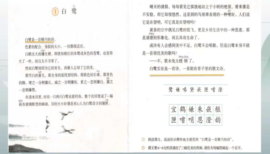 1.白鹭(导学案)(五年级语文