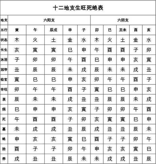 八字中衰字代表什么意思