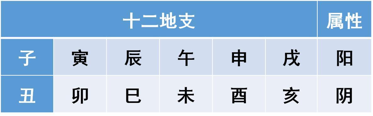 丙子年是阳年还是阴年_八字综合_生辰八字网