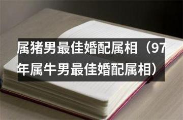 属猪男最佳婚配属相(97年属牛男最佳婚配属相)