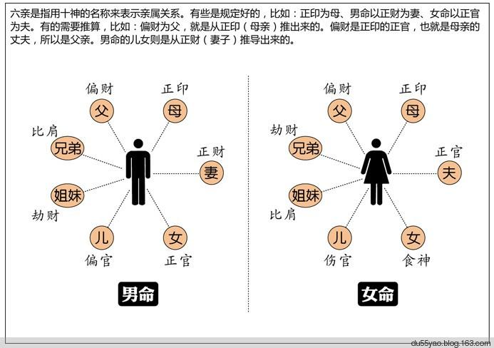 看漫画学算命漫画解析八字命理