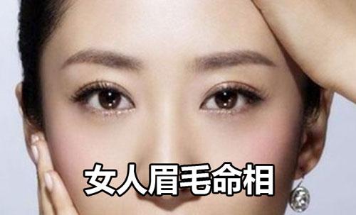 女人断眉有啥命运好好的眉毛,如果是在中间里断开,那么就是属于断眉