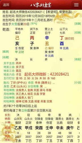 20231230己亥年丙子月辛丑日出生宝宝取名腊月初二孩子八字分析