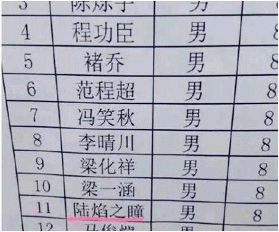 宝宝起名意见不合气的婆婆偷跑去派出所不料名字太霸气被拒绝