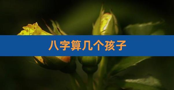 八字算几个孩子