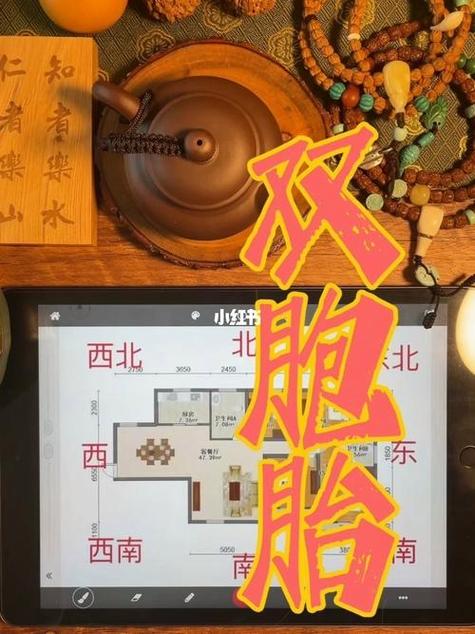 生双胞胎门象风水 双胞胎同时出生的风水