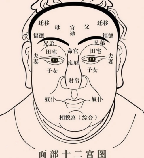 易金堂命理大师山铮老师带你看手相命相超准