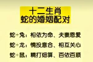 属蛇的人到底配哪个生肖比较好?