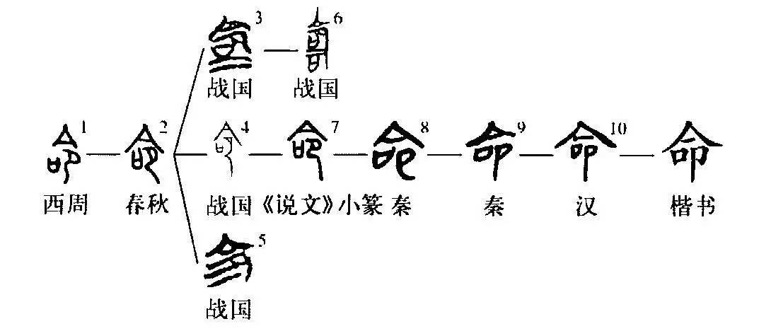 细说汉字命