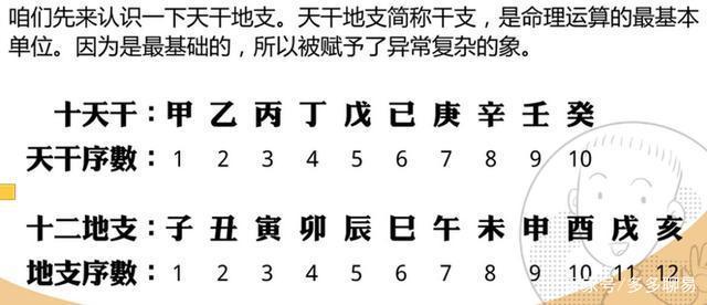 八字基础二天干地支粗字体和表格必背