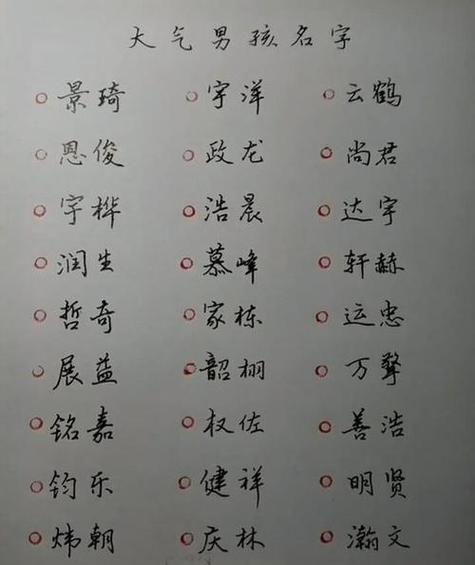 请帮小孩取名字 姓高 的第二个字要十三画 第三个字要十二画 是男孩