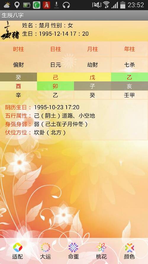 阳历1995年12月14日17点20分出生的女孩子生辰八字是什么,求解析