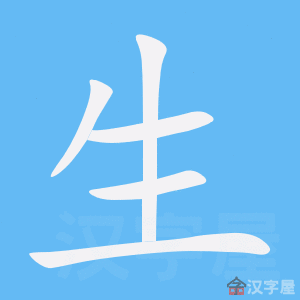 生字的笔顺笔画顺序