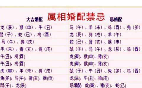 生肖兔2023年运势大全2023年运势生肖兔十月出生