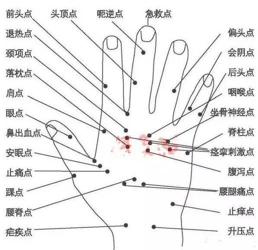 掌纹看健康(通过手掌能看出身体的健康状况)