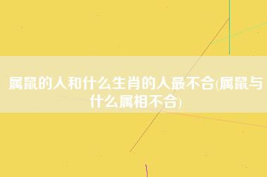 属鼠的人和什么生肖的人最不合属鼠与什么属相不合