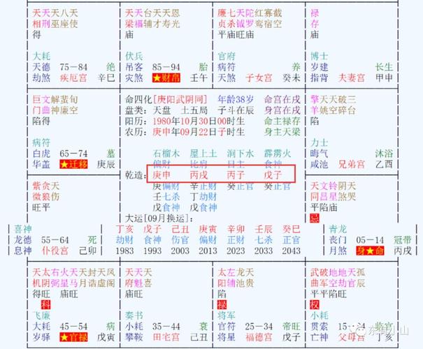 紫微斗数排盘(紫微斗数免费自助解盘)