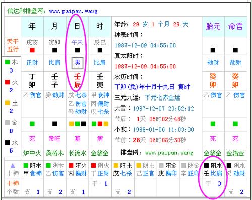 1987年10月19日农历4.55分出生是金命吗