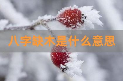 八字缺木是什么意思,命里缺木的女孩名字,生辰八字缺木代表什么-贺楠