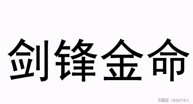 9293年剑锋金命好不好财运事业运感情运又怎么样呢