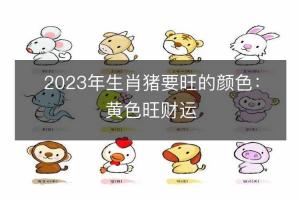 属猪2023年运势及运程 属猪人2023年全年运势