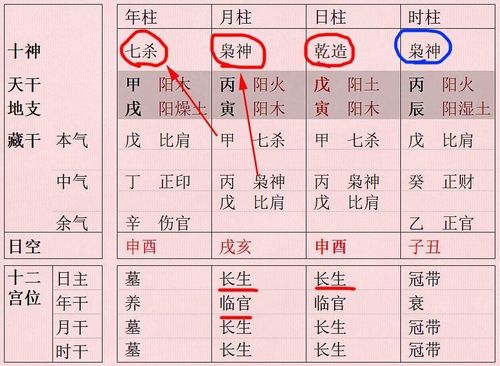 八字怎样看得月令 算命中的月令指的是什么