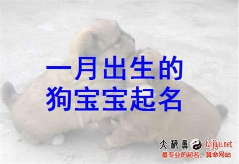 字选对了,名字也差不了.