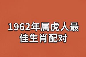 1962年属虎人最佳生肖配对:属龙/属马/属狗_吉星堂