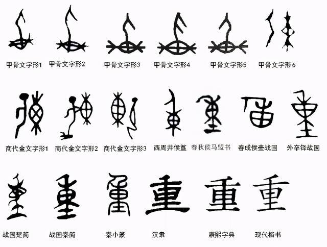 汉字探源:重字本义不是分量大而是莲藕