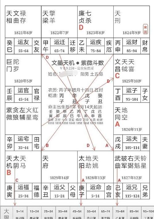 紫微四化盘怎么看_紫微四化飞星排盘_紫微斗数怎么看飞星四化