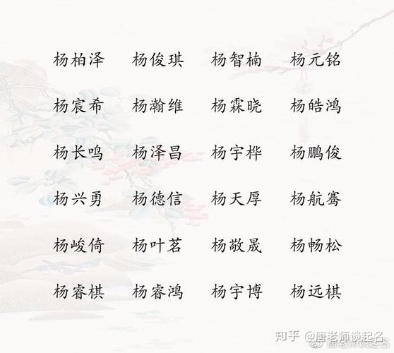 杨姓男宝宝取名,有气质好听有寓意的男孩名字