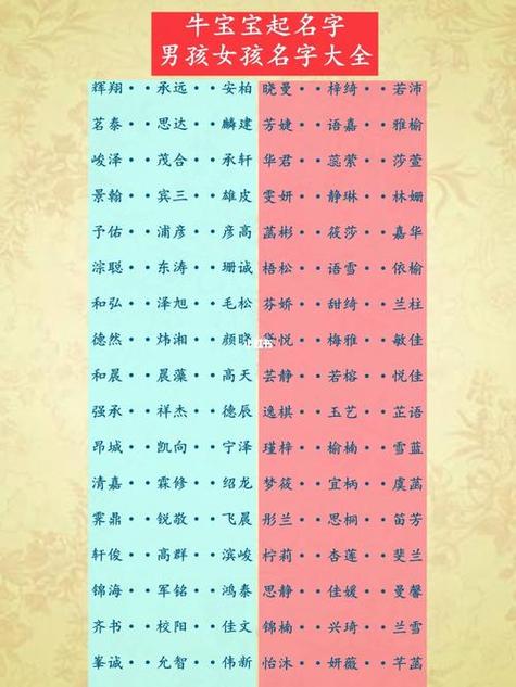 男女宝宝起名字打分(男女宝宝取名字大全免费)