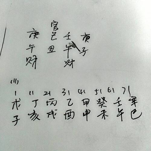 庚午年己丑月壬午日庚子时,这个女八字命运怎样?富贵怎样?婚姻怎样?