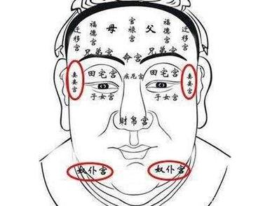 看相算命图解_面相十二宫之_奴仆宫(面相)