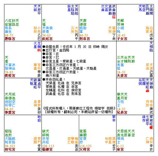 紫微命盘看生子