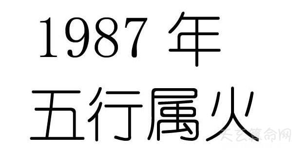 1987年为农历丁卯年(丁卯年——1927,1987年出生),纳音为