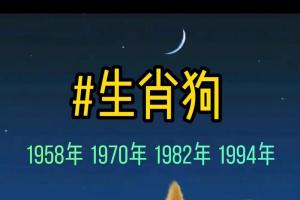 属狗送给属狗的t你1958年1970年1982年1994年生肖狗