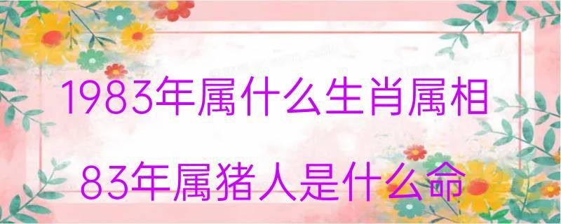 1983年属什么生肖属相83年属猪人是什么命