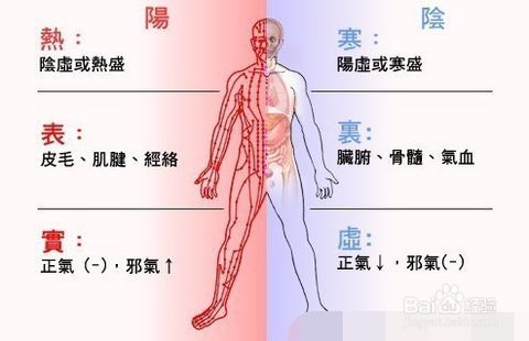 道医揭秘,人体为什么会阴阳失衡_灵蓍起名 段苍李 字_古耆