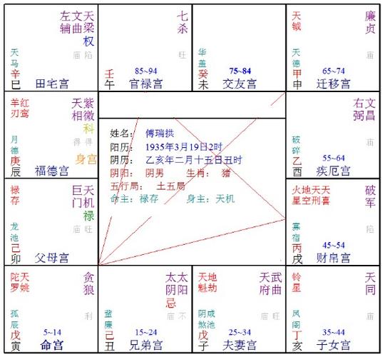 乙年命宫在寅宫紫微星在辰宫-脑瘤