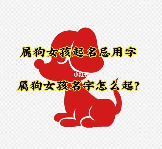 属狗的女孩子忌用什么字