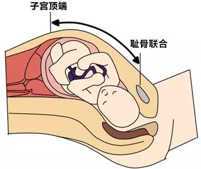 宫度算命对照表