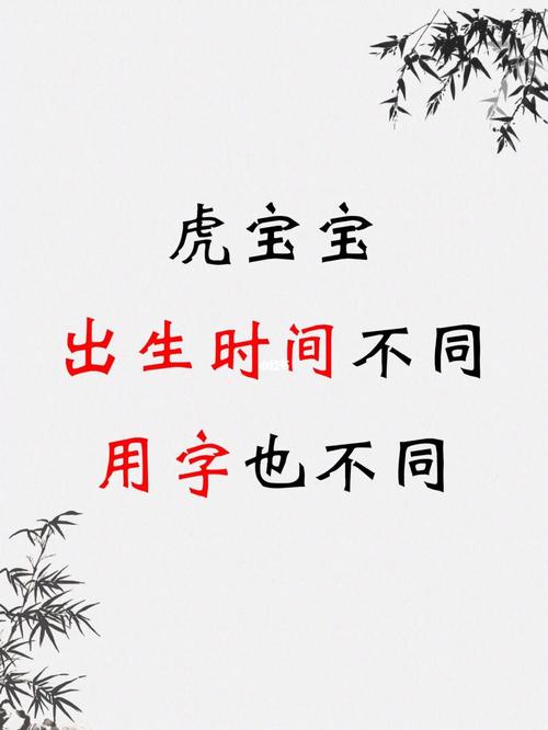 虎宝宝出生时间不同用字也不同